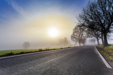 kırsal sisli yol sunrise için gidiyor
