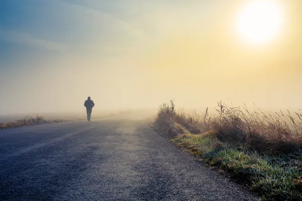 Silueta de los hombres en la niebla Fotos de stock