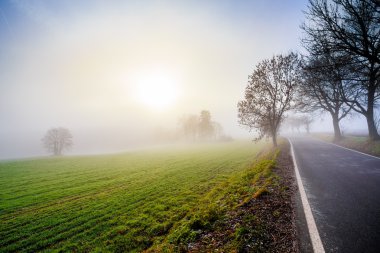 kırsal sisli yol sunrise için gidiyor