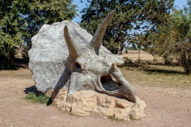Triceratops fosil iskelet doğal arka plan üzerinde