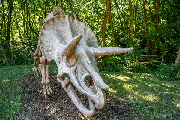 Fossiles Skelett von Triceratops über natürlichem Hintergrund — Stockfoto