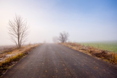 kırsal sisli yol sis için gidiyor