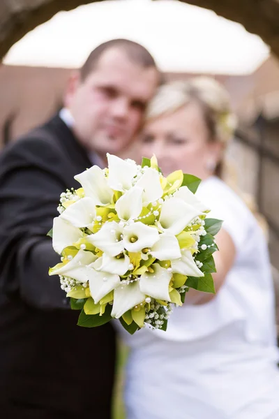 Beautiful young wedding couple — Stock Photo, Image