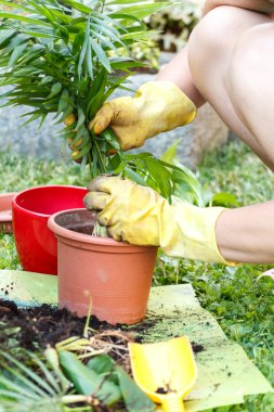 Sarı plastik eldiven ile Bahçe