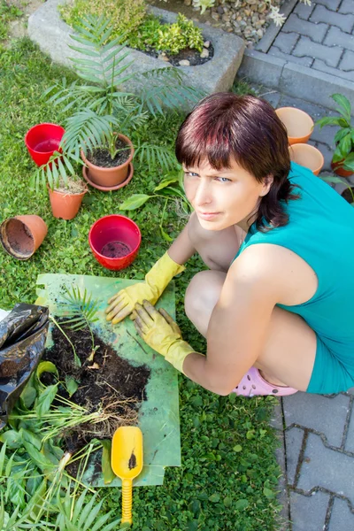 Happy smiling middle age woman gardening — Stock Photo, Image