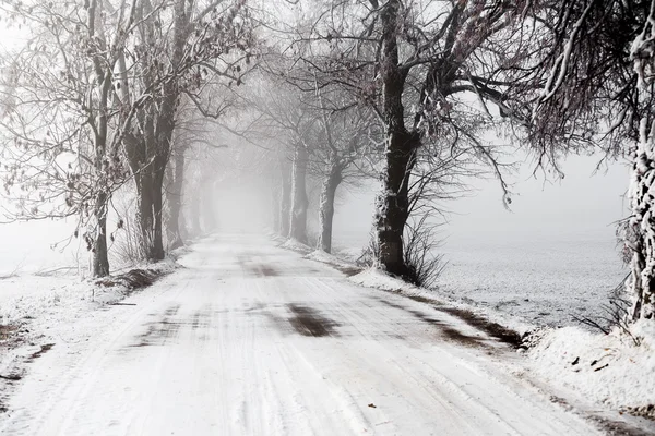 Winter Road going in to the fog — стоковое фото