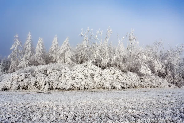 Zonnige bevroren landschap — Stockfoto