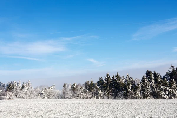 Солнечный замерзший пейзаж с голубым небом — стоковое фото