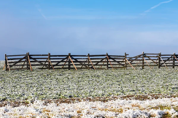 Зимний фон с замерзающей травой и снежным барьером — стоковое фото