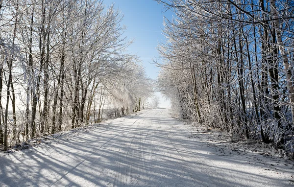 Estrada de inverno em um dia gelado ensolarado — Fotografia de Stock