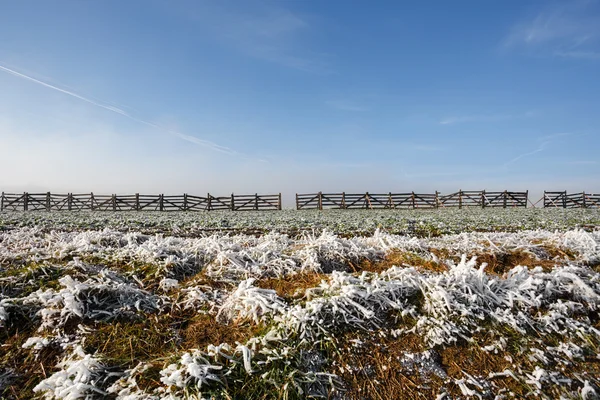 Zimní pozadí s mrazem trávy a závěje bariéry — Stock fotografie