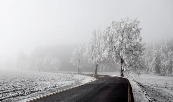 Inverno Estrada indo para o nevoeiro — Fotografia de Stock