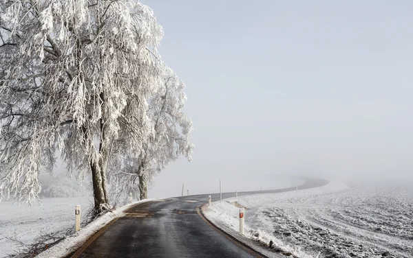 霧の中に行く冬の道 — ストック写真