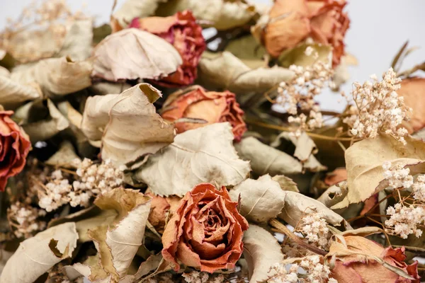 Букет сушеных роз с листьями — стоковое фото