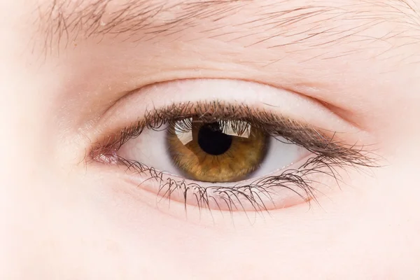 Adolescente ojo macro — Foto de Stock