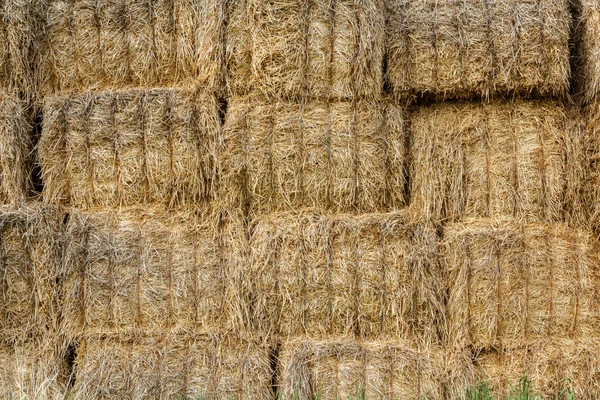 Wall surface of the straw bales — Stock Photo, Image