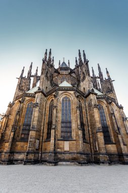 St. vitus Katedrali Prag Çek Cumhuriyeti 