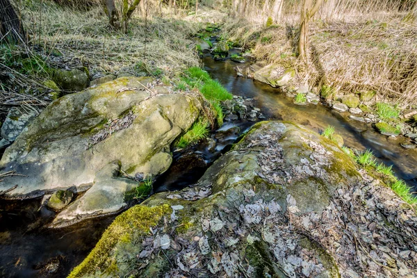 Falls on the small mountain river in a wood — Stock Photo, Image