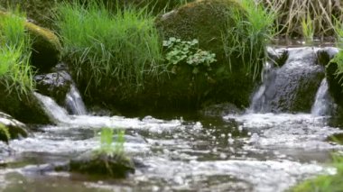 küçük dağ dere ile düştü