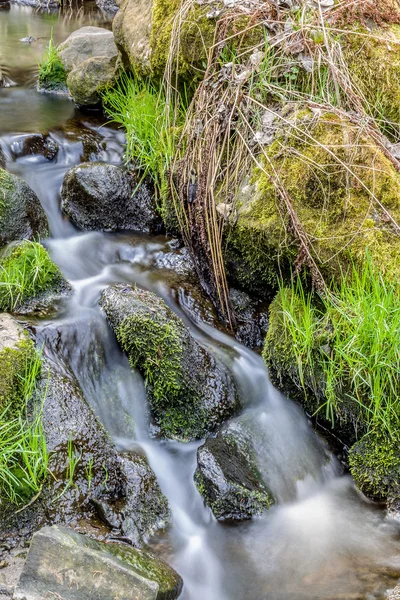 Falls on the small mountain river in a wood — Stock Photo, Image