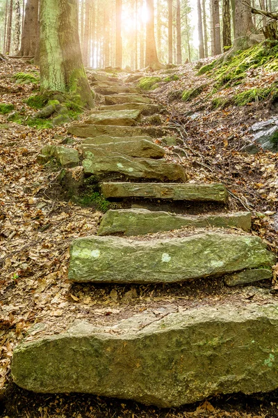 Steintreppe führt mit Sonnenlicht nach oben — Stockfoto