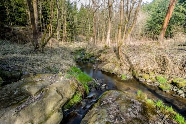 küçük dağ nehir bir ahşap ile düştü