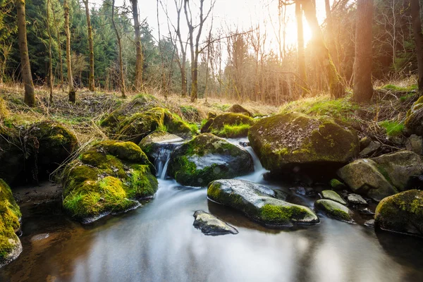 Falls on the small mountain river in a wood — Stock Photo, Image