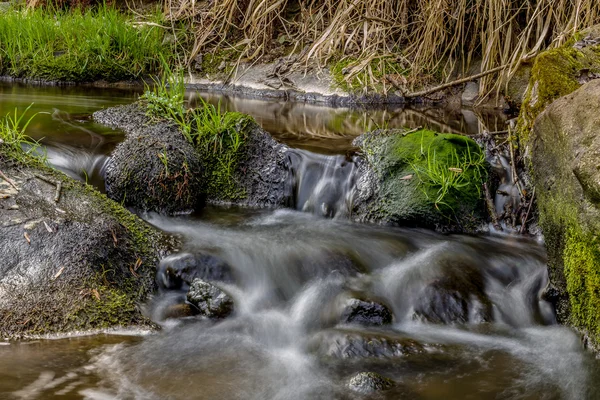 Fällt auf den kleinen Gebirgsfluss in einem Wald — Stockfoto