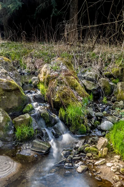 Cai no pequeno rio de montanha em uma floresta — Fotografia de Stock