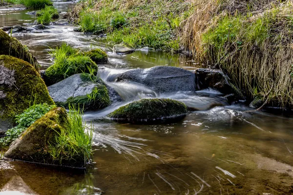 Cai no pequeno rio de montanha em uma floresta — Fotografia de Stock