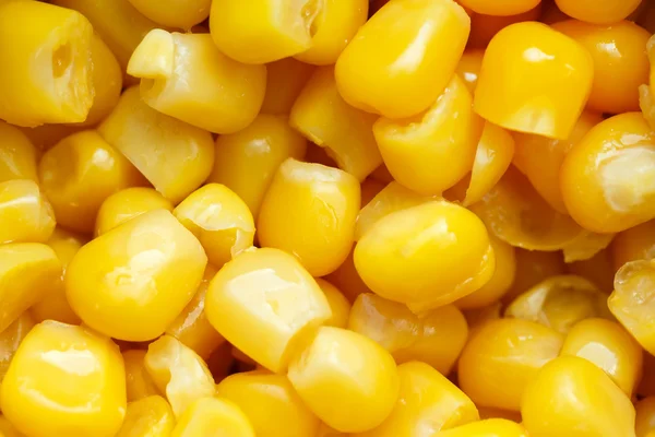 Close up yellow sweet corn — Stock Photo, Image