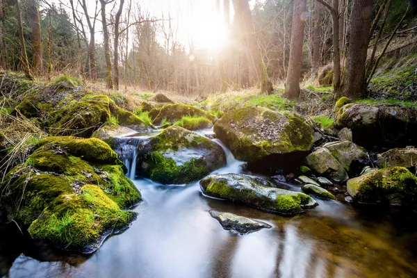 Faller på floden litet berg — Stockfoto