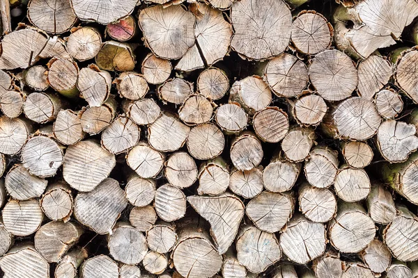 Hout in stapel buiten — Stockfoto