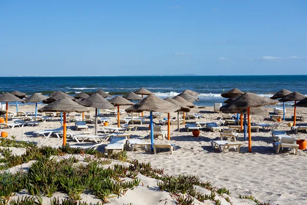 Tunisian beach in morning without people — Stock Photo, Image