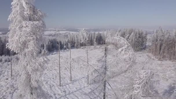 鸟瞰雪白雪白的冬季风景 — 图库视频影像