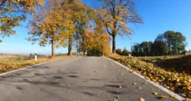 Arabadan sonbahar manzarası görüntüsü