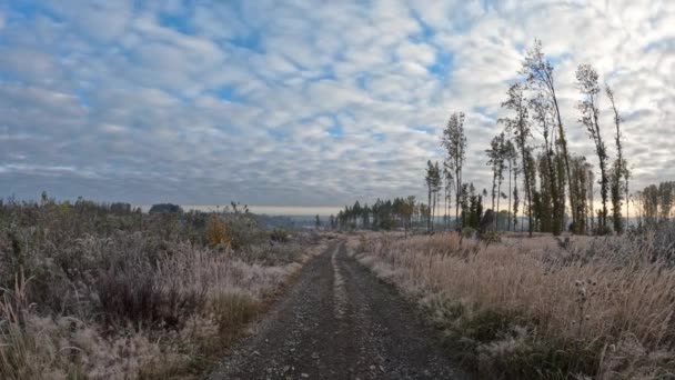 시골풍 나무늘보 가색깔 이 나는 가을 풍경 — 비디오