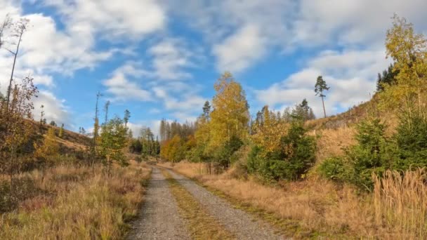 Timelapse wsi jesienny krajobraz kolorowe drzewo — Wideo stockowe