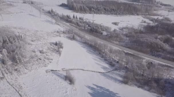 Белый замерзший снежный зимний пейзаж с высоты птичьего полета — стоковое видео