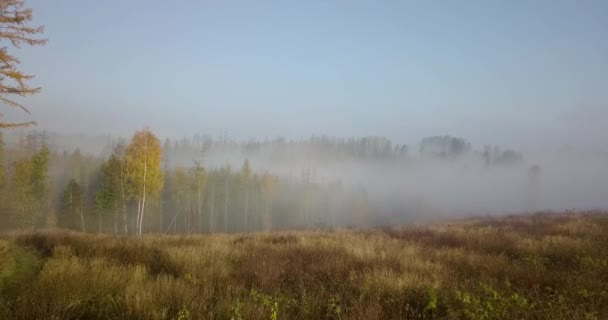 Luftaufnahme der herbstlichen Landschaft, traditionelle Herbstlandschaft — Stockvideo