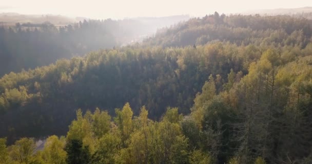 Flygfoto över höstens landsbygd, traditionellt höstlandskap — Stockvideo