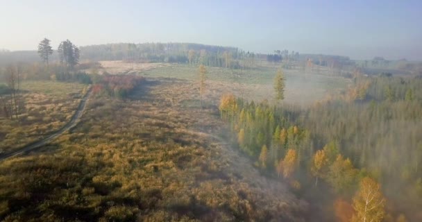 Flygfoto över höstens landsbygd, traditionellt höstlandskap — Stockvideo