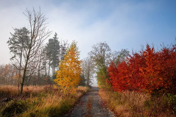 Countryside Landscape Fall Autumn Season Beautiful Colored Tree Czech Republic — Stock Photo, Image