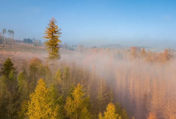 Vista Aérea Campiña Del Amanecer Del Otoño Paisaje Tradicional Otoño —  Fotos de Stock