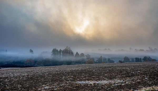 Val Misty Mistige Landschap Met Een Boom Silhouet Een Mist — Stockfoto