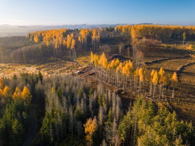 Sonbahar gündoğumu kırsalının hava manzarası Orta Avrupa 'da yükselen güneşli geleneksel sonbahar manzarası. Sisli ve sisli gün doğumu. Kuş gözünden donmuş manzara. Çek Cumhuriyeti, Vysocina Dağları
