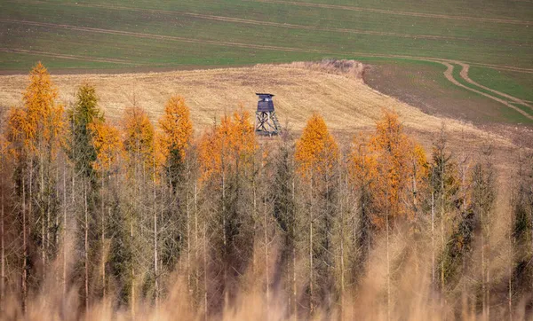 Деревянная Охотничья Башня Сельской Местности Осенний Сезон Чехия Хайленд Европейские — стоковое фото