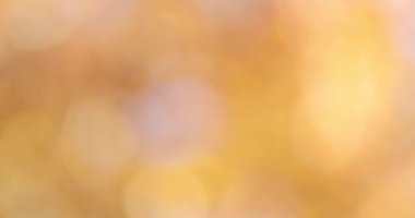 Sonbahar doğal bokeh arkaplanı veya arkaplan
