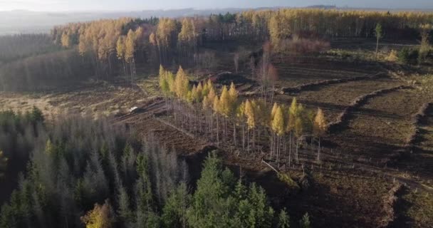 Flygfoto över höst landsbygd, traditionellt fall landskap i Centraleuropa — Stockvideo