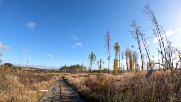 Timelapse wsi jesienny krajobraz kolorowe drzewo — Wideo stockowe